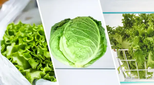 Sałatka w folii, główka kapusty i sałata lodowa w koszyku – różne rodzaje warzyw liściastych w lodówce. Zastanawiasz się, ile salata moze lezec w lodowce?